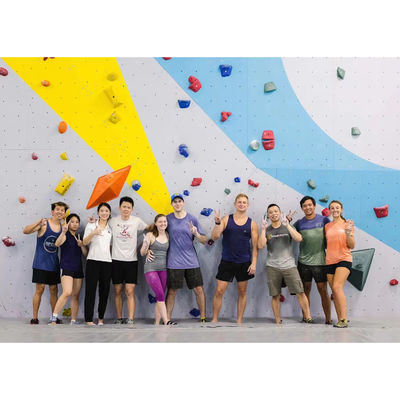 Children Outdoor Adventure Rock Wall Swing Holds kids Climbing Rock Stones